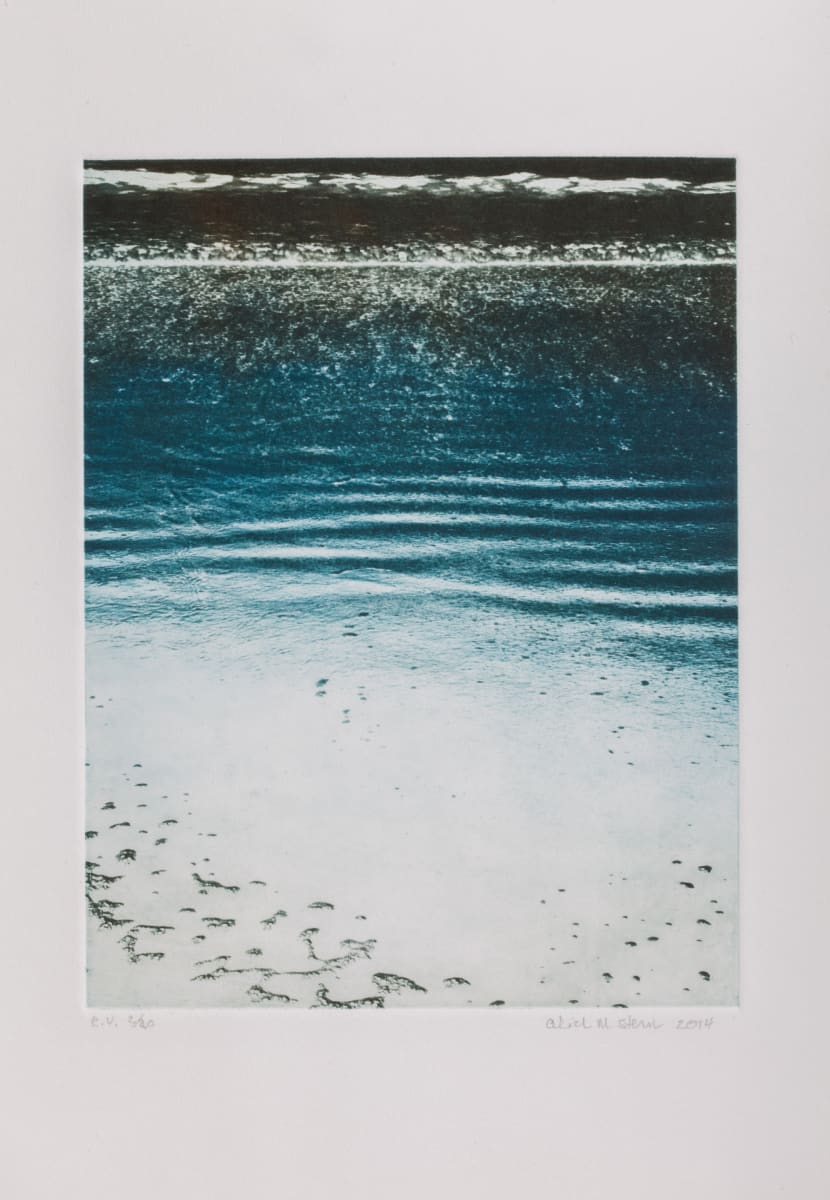 Limantour Beach 5 by Alice M. Stern 