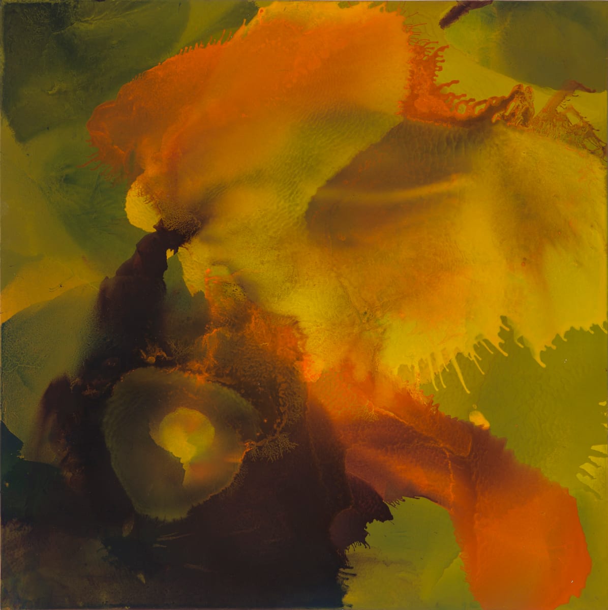 Cattleya by Usha Shukla 