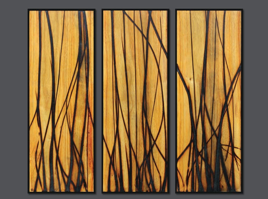 Burnt Panel Triptych No. 23 by Jonah Ward 