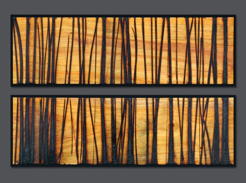 Burnt Panel Diptych No. 61 by Jonah Ward 