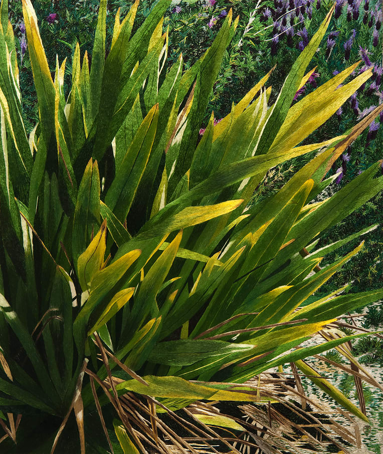 Bamboo Grass by Yan Inlow 