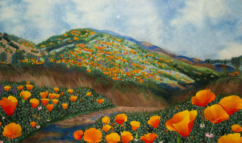 California Poppy Field #1 by Yan Inlow 