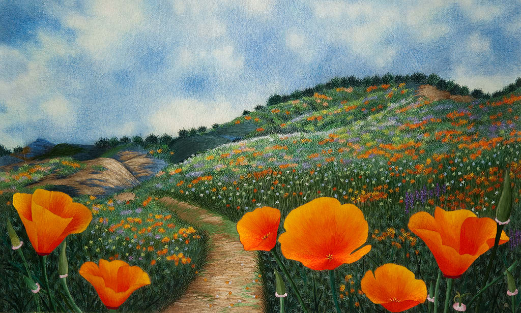 California Poppy Field #2 by Yan Inlow 