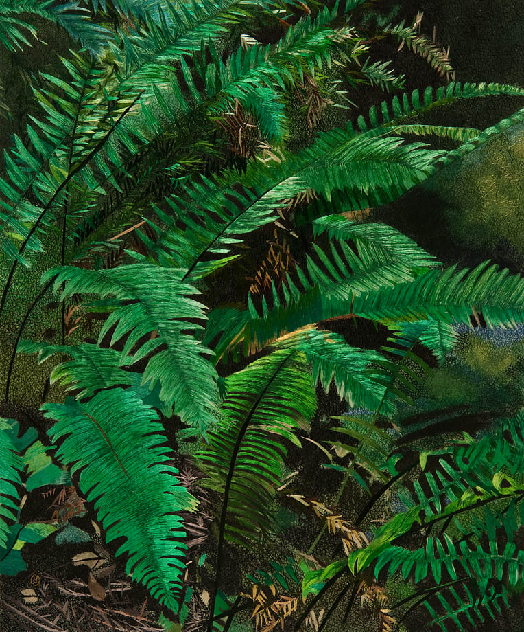 Ferns by Yan Inlow 