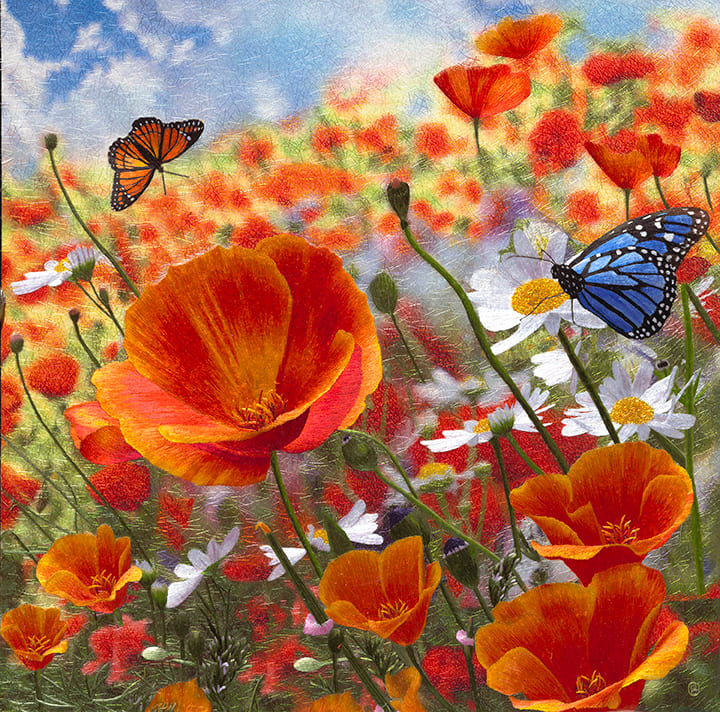 Butterflies Enjoying Poppies on a Spring Day #1 by Yan Inlow 