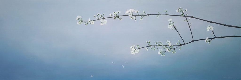 Plum Blossom by Yvette Molina 