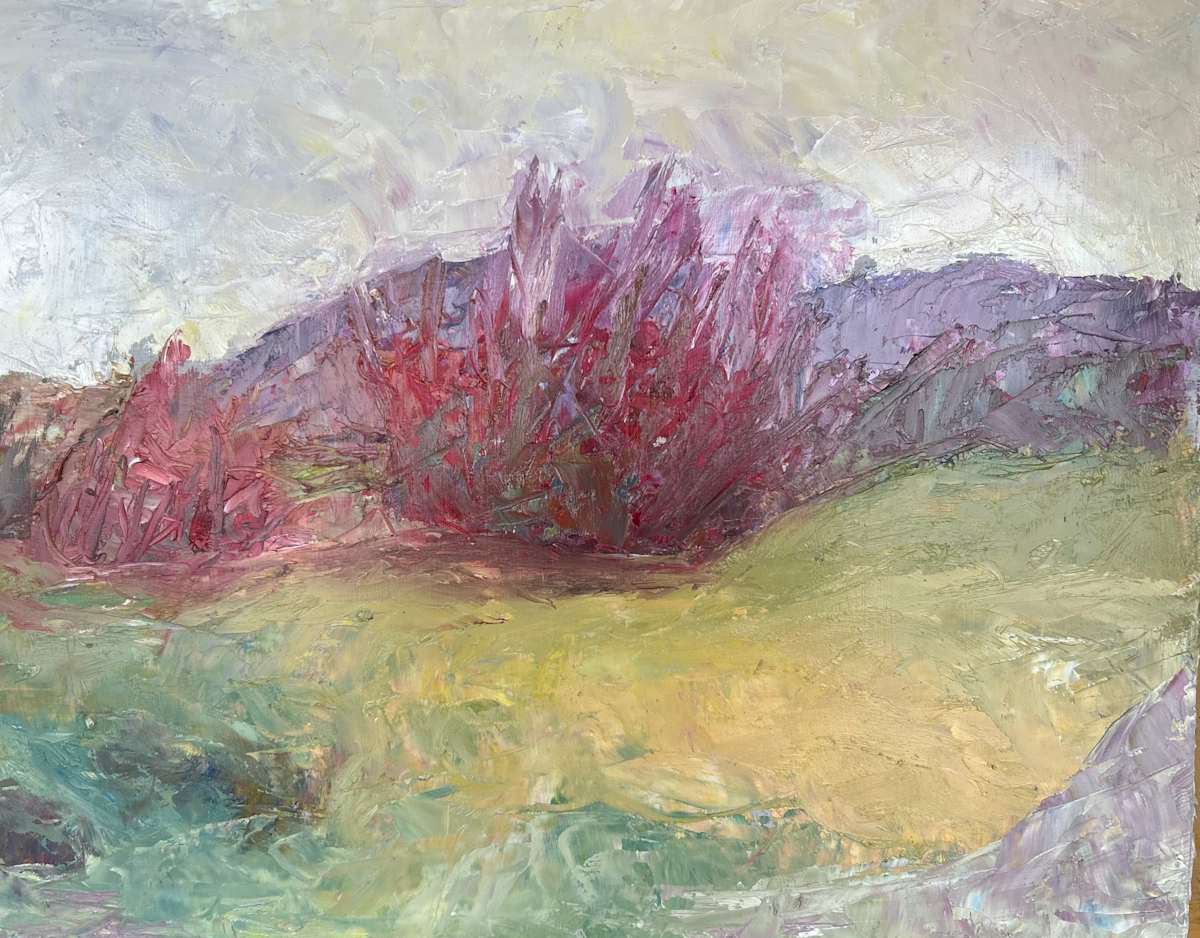 Near Glendale Ridge Grape Vines - $425 by Susan Barocas, Image 1.