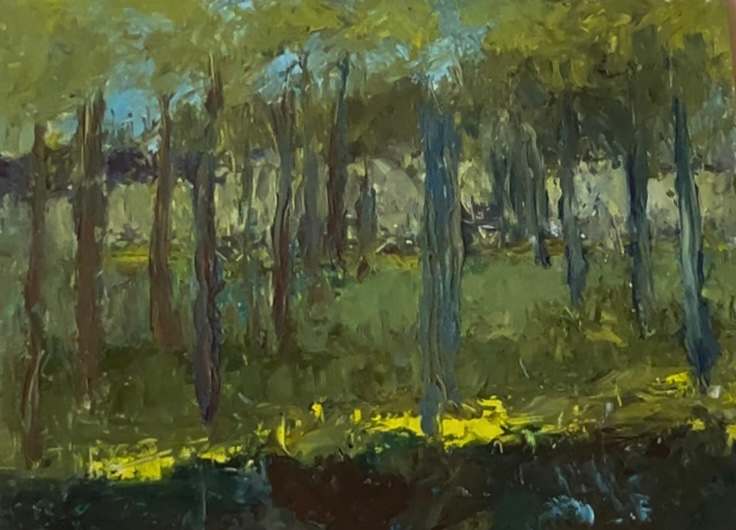Late Afternoon in the Walnut Grove $350 by Susan Barocas 