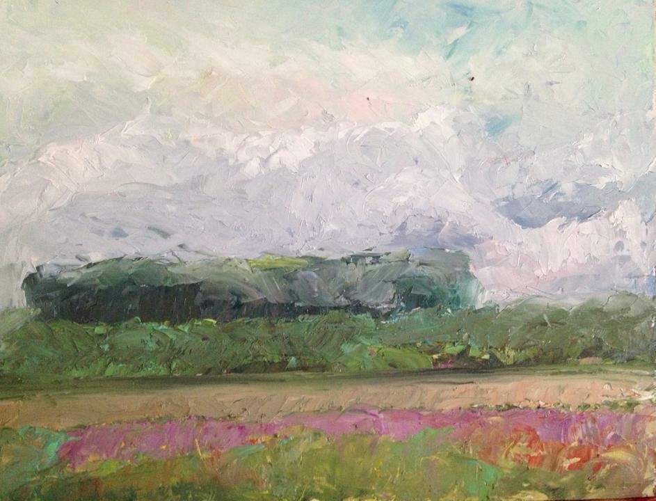 Unsettled Weather $450 by Susan Barocas 