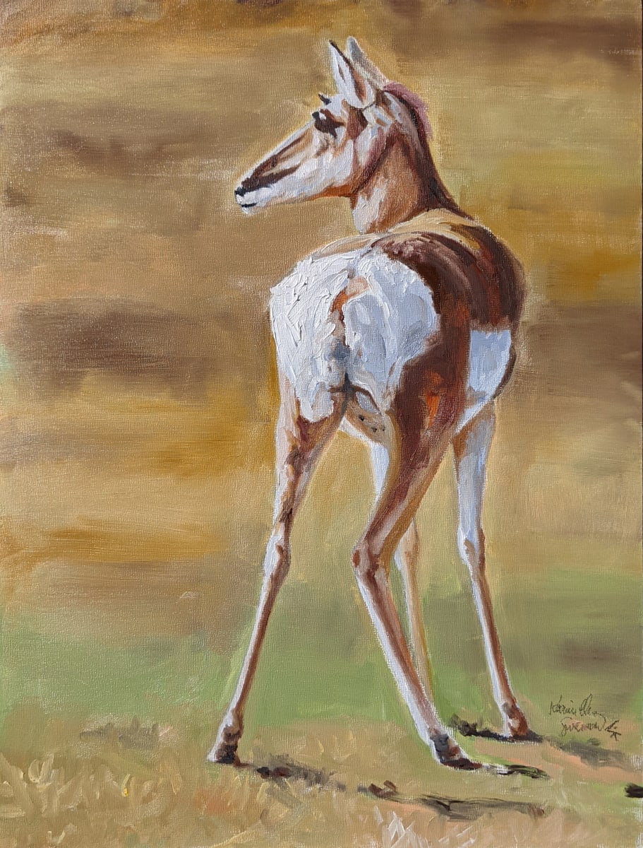 Young Pronghorn by Karine Swenson 