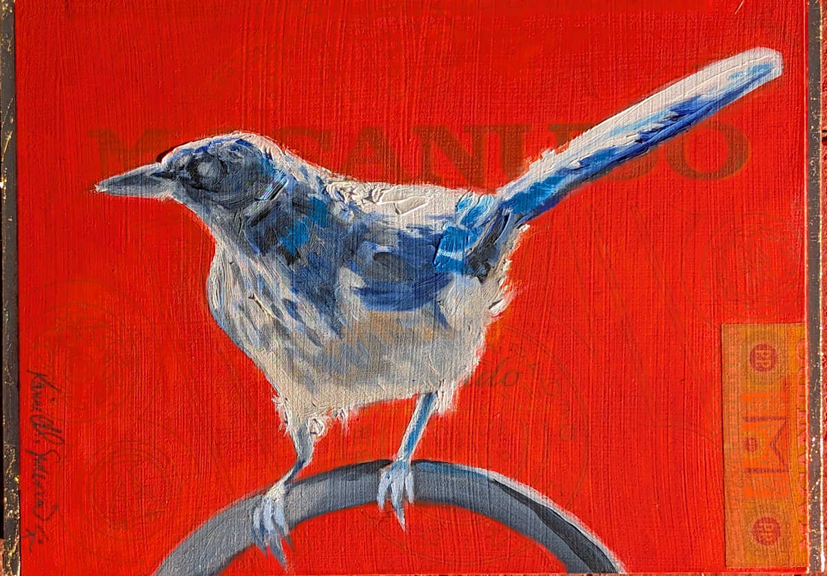 Blue Jay by Karine Swenson  Image: top view