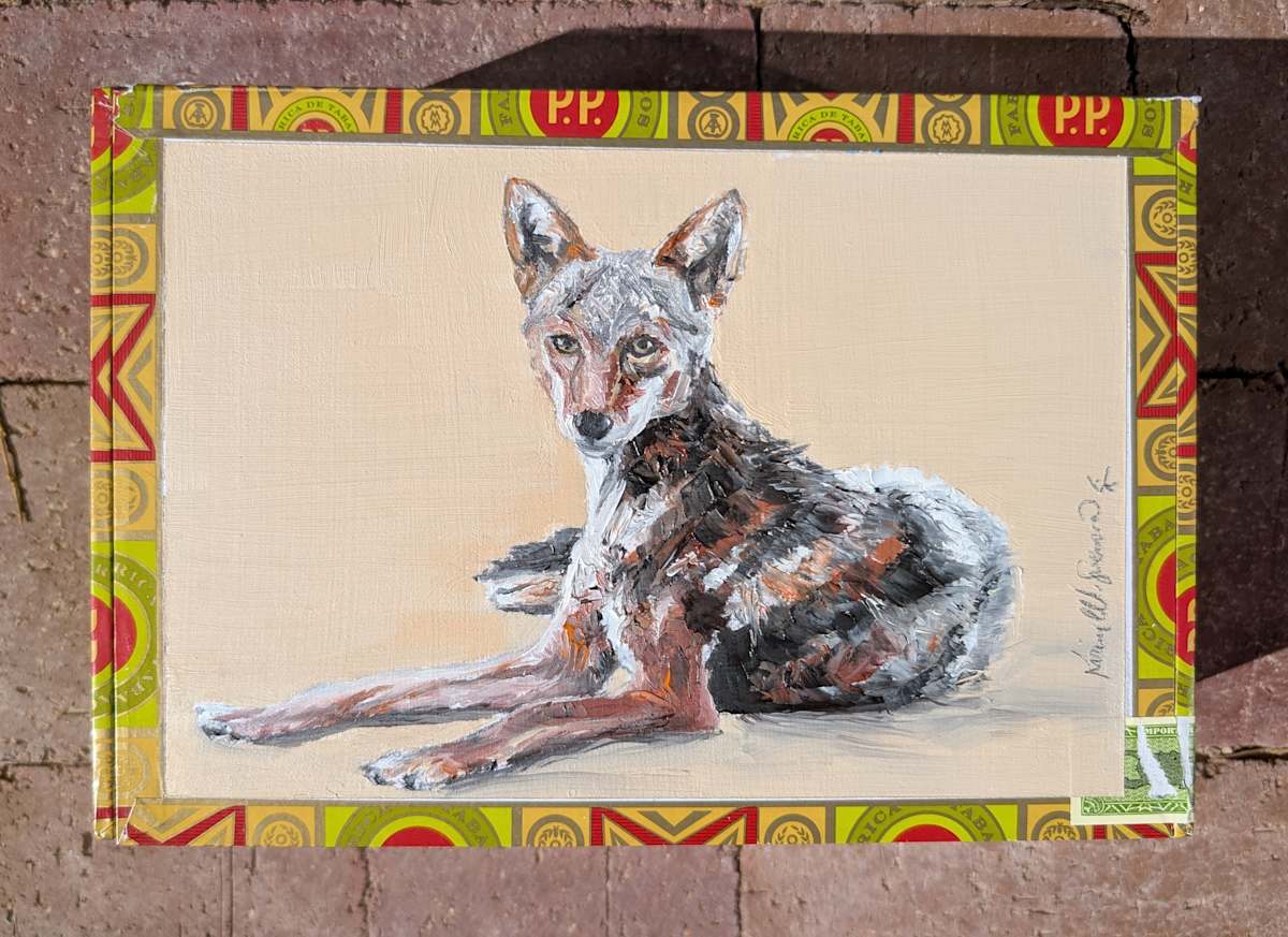 Resting Coyote by Karine Swenson, Image 1.