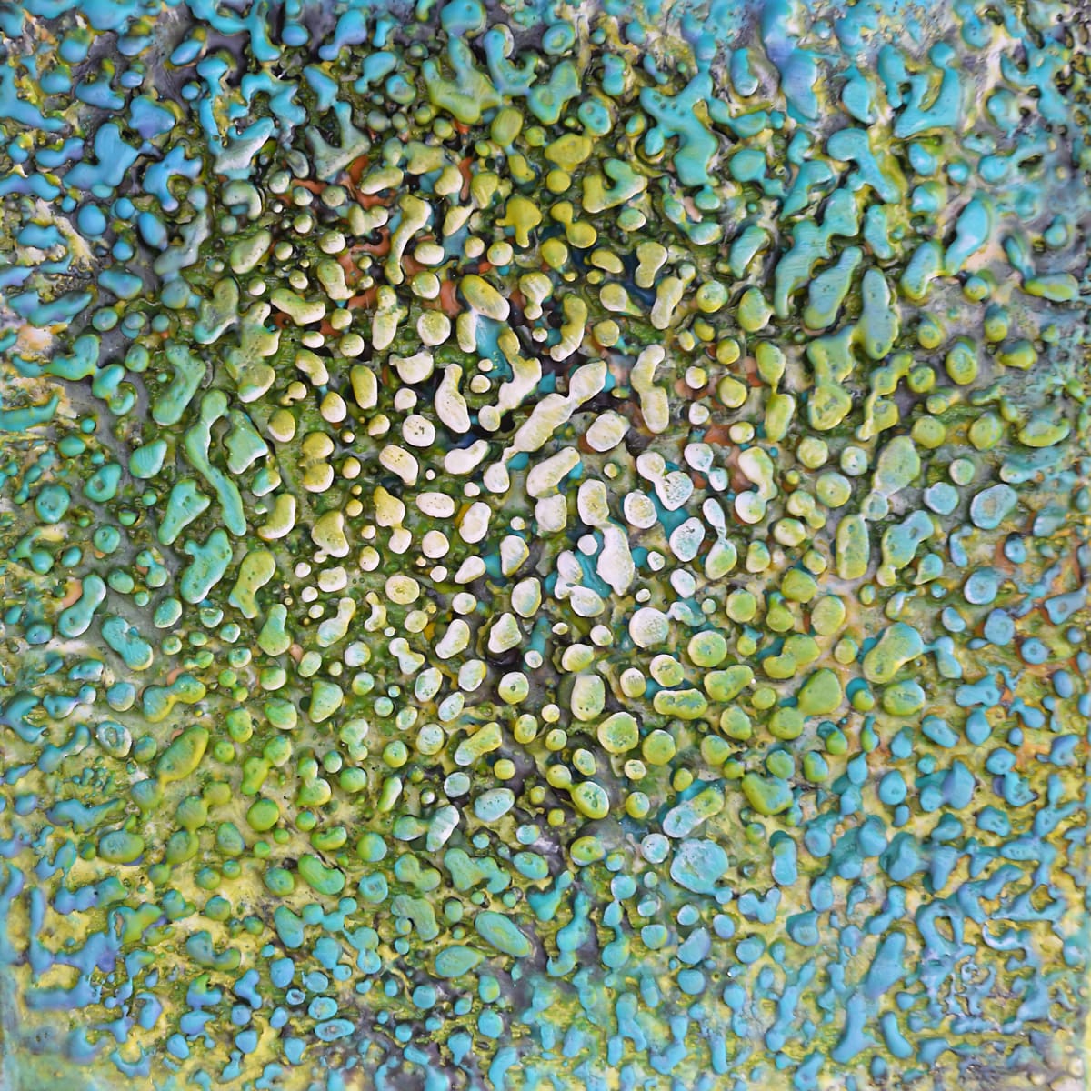 Algae by Karine Swenson, Image 1.