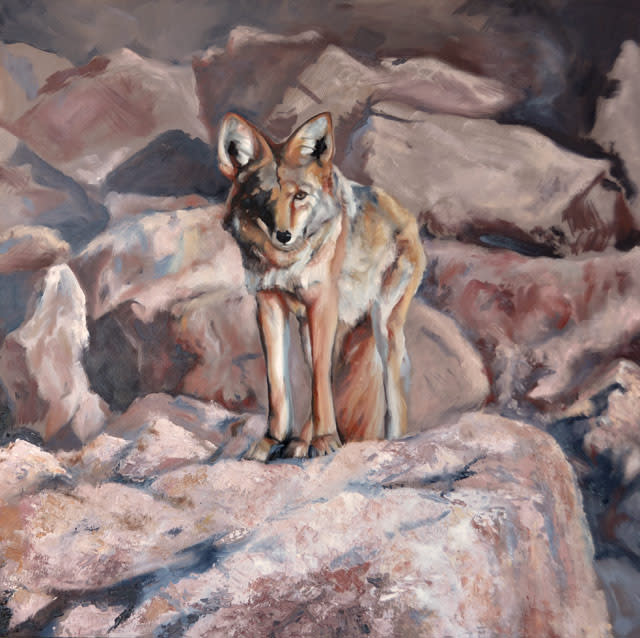 Bouldering (coyote) by Karine Swenson 