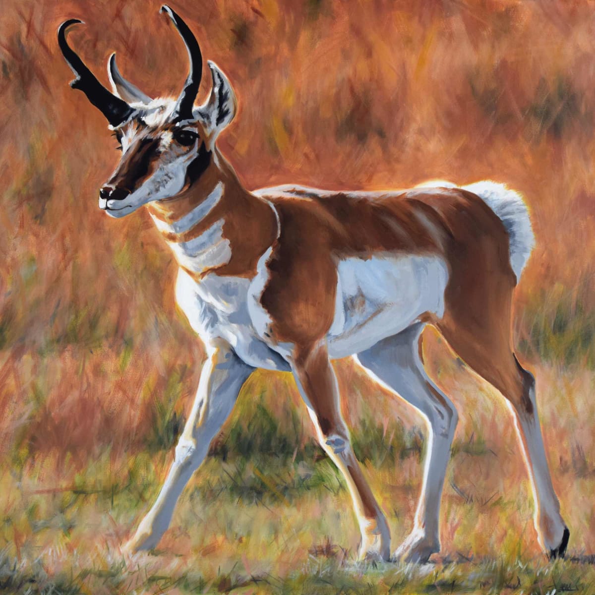 Built For Speed (pronghorn) by Karine Swenson 