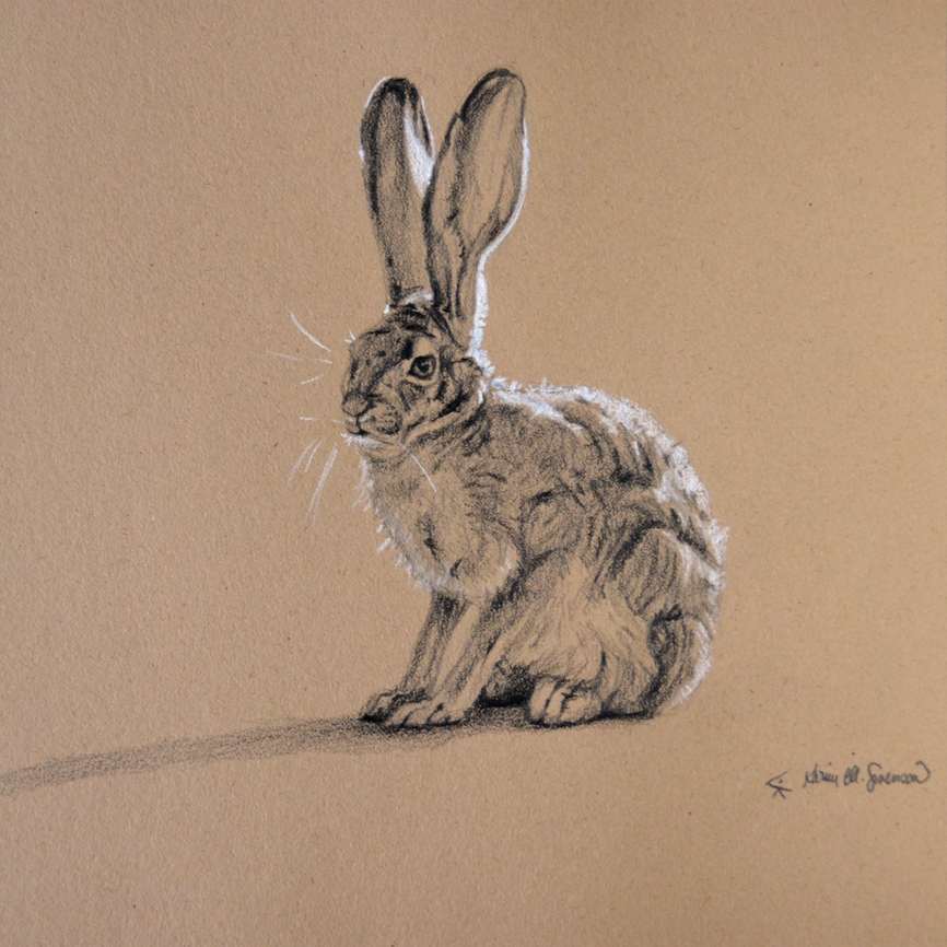 Sitting (jackrabbit) by Karine Swenson, Image 1.