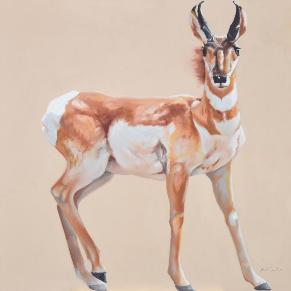 Pronghorn by Karine Swenson 