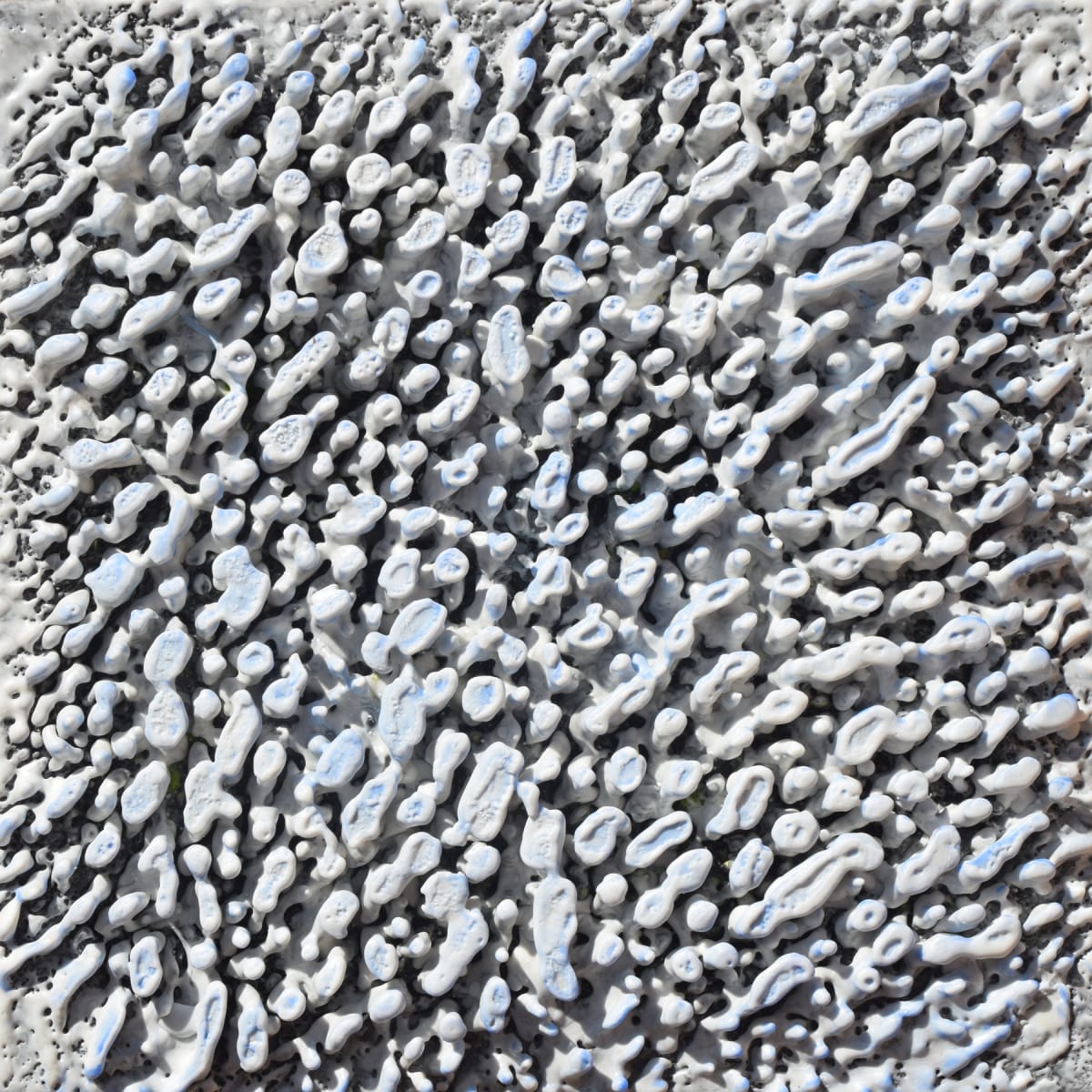 Frosted by Karine Swenson, Image 1.