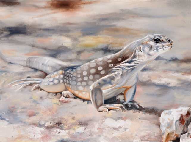 Over-sized (desert iguana) by Karine Swenson, Image 1.