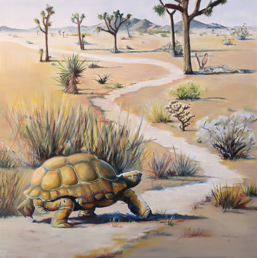 Slow and Steady by Karine Swenson 