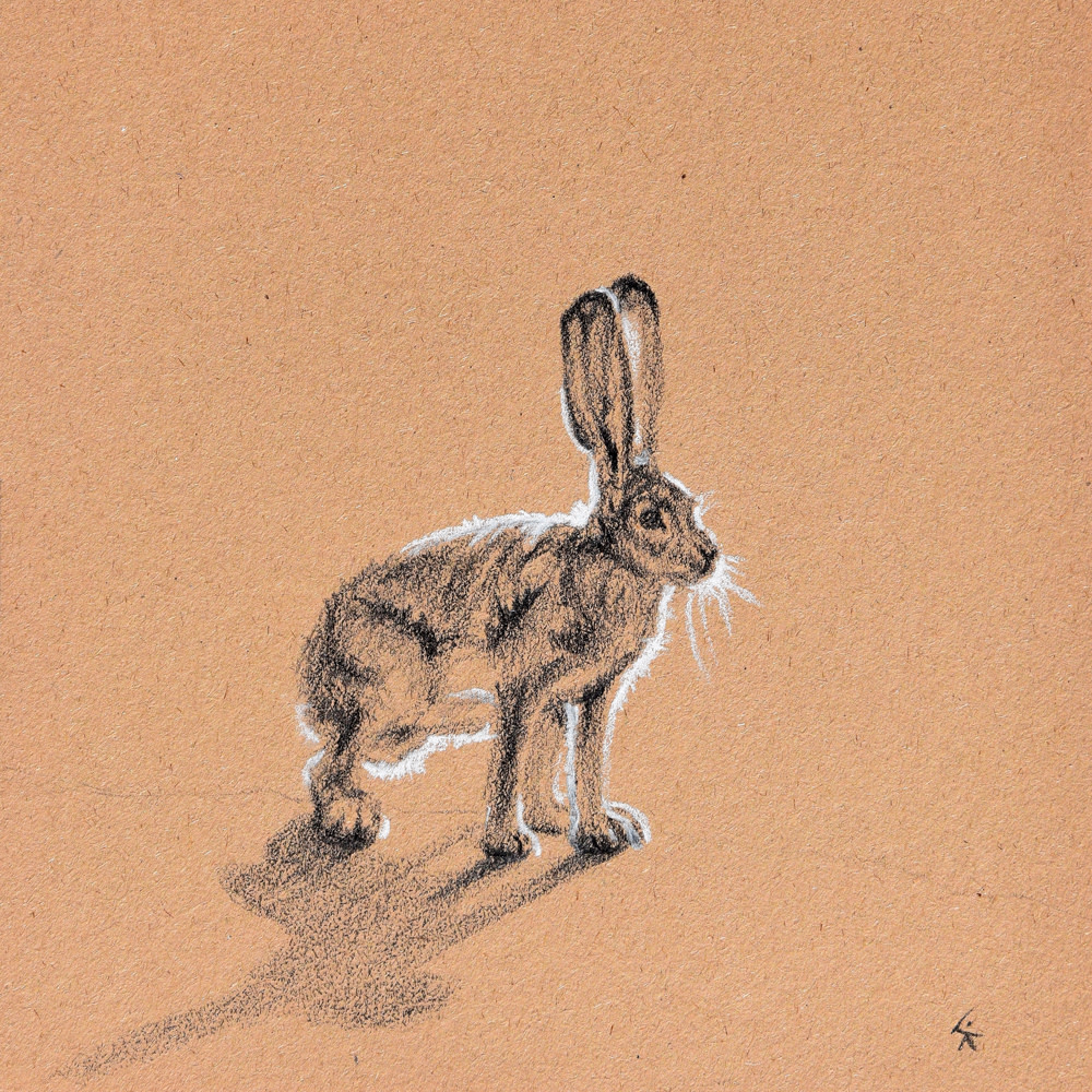 Untitled Jackrabbit by Karine Swenson 