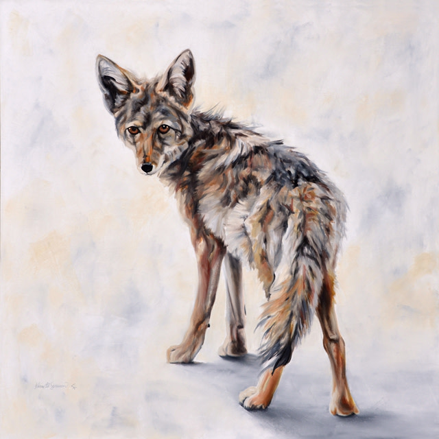 Youngster (coyote) by Karine Swenson 