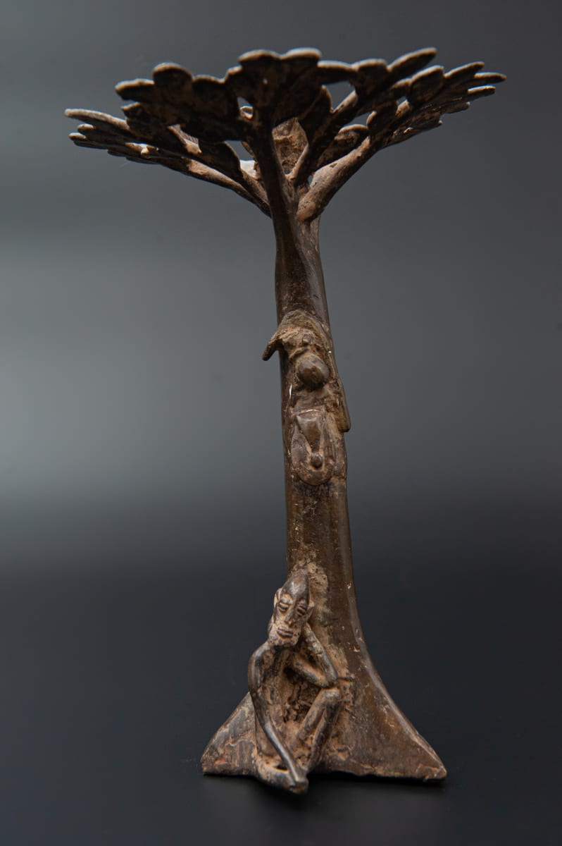 Baobab Lobi, Image 1.
