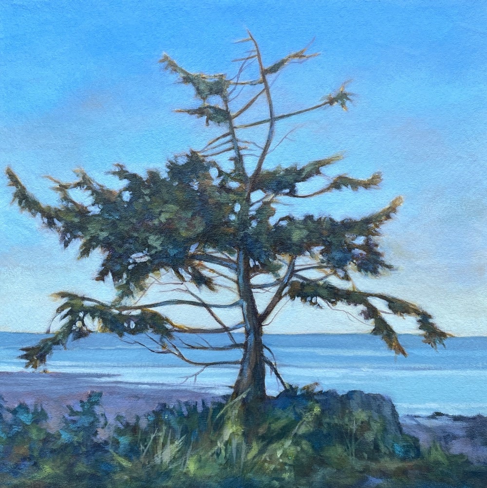 Waiting by Cindy Mawle  Image: This tree sits beside a popular Brant Geese viewing area.  It's uneven scruffiness adds to its character-ish appeal. 