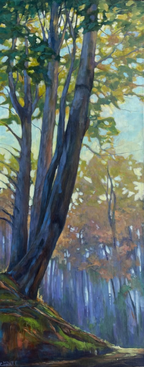 Waiting and Watching by C Mawle 