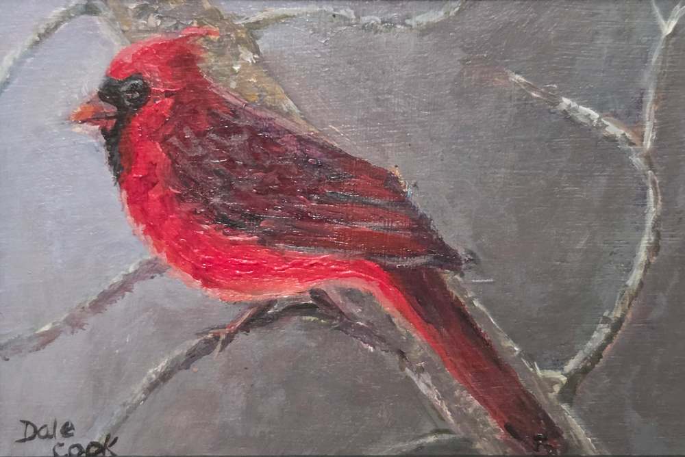 Wee Cardinal by Dale Cook, Image 1.