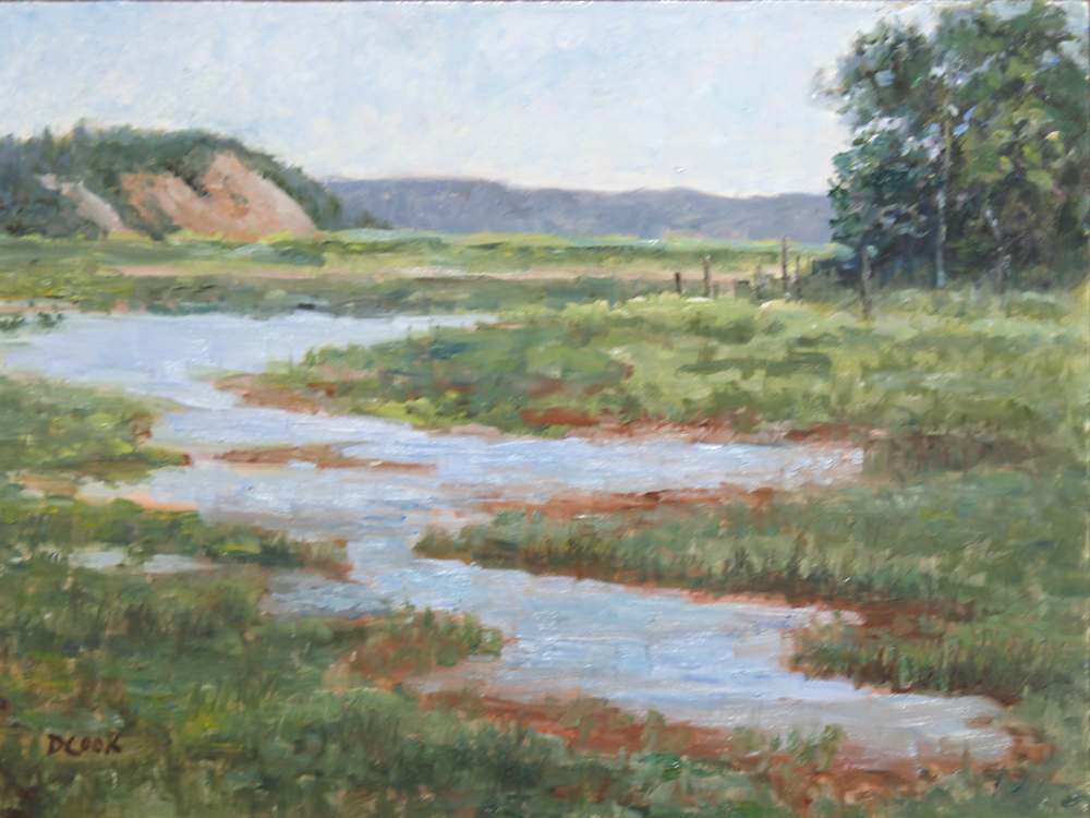 Irving Nature Park 20.07.20 by Dale Cook  Image: Irving Nature Park 20.07.20, Oil, 9x12
