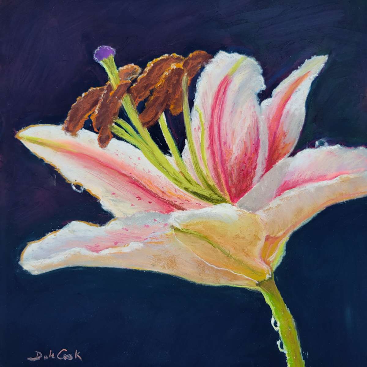Lily in Pastel by Dale Cook, Image 1.