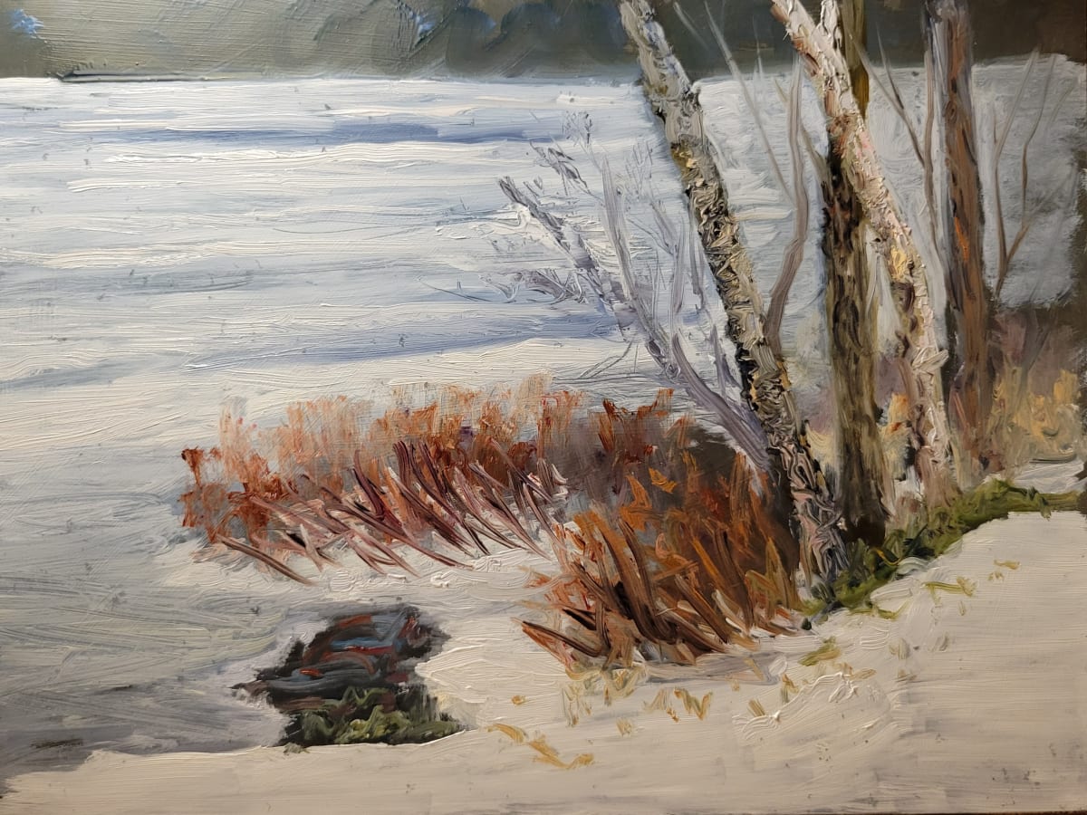 Ritchie Lake in January en Plein Air by Dale Cook  Image: Ritchie Lake in January