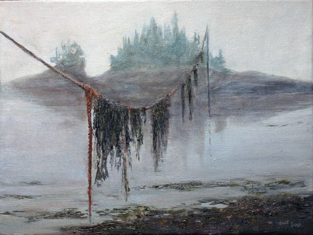 Sea Laundry in the Mist by Dale Cook 