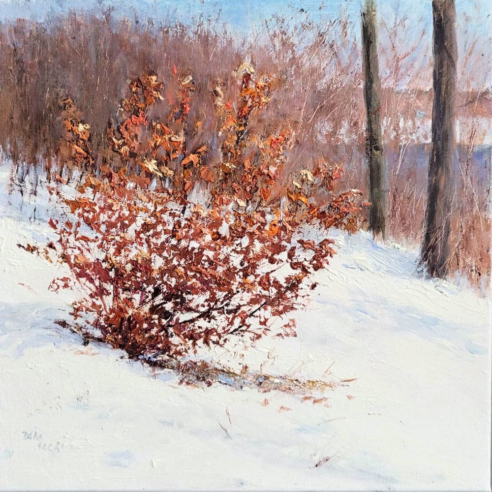 Winter's Glow by Dale Cook  Image: Winter's Glow