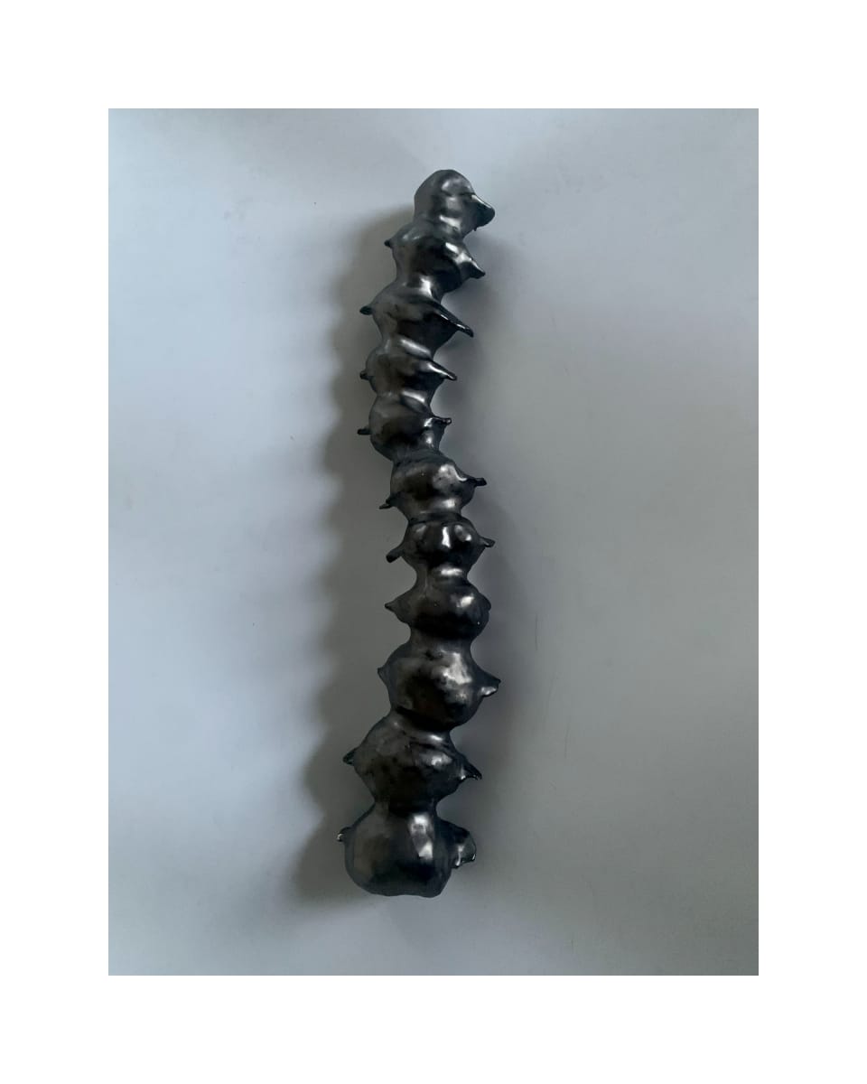 Spine, part 1.  Image: Spine, part 1.

A continuation in my series of Memento Mori concepts as I investigate our feelings towards loss and grief and dying through clay.

Ceramic. 
2021