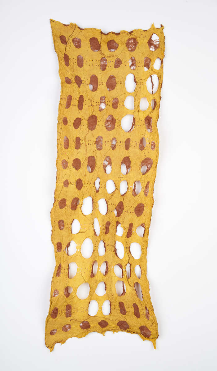 Cambium I by Deborah Benioff Friedman 