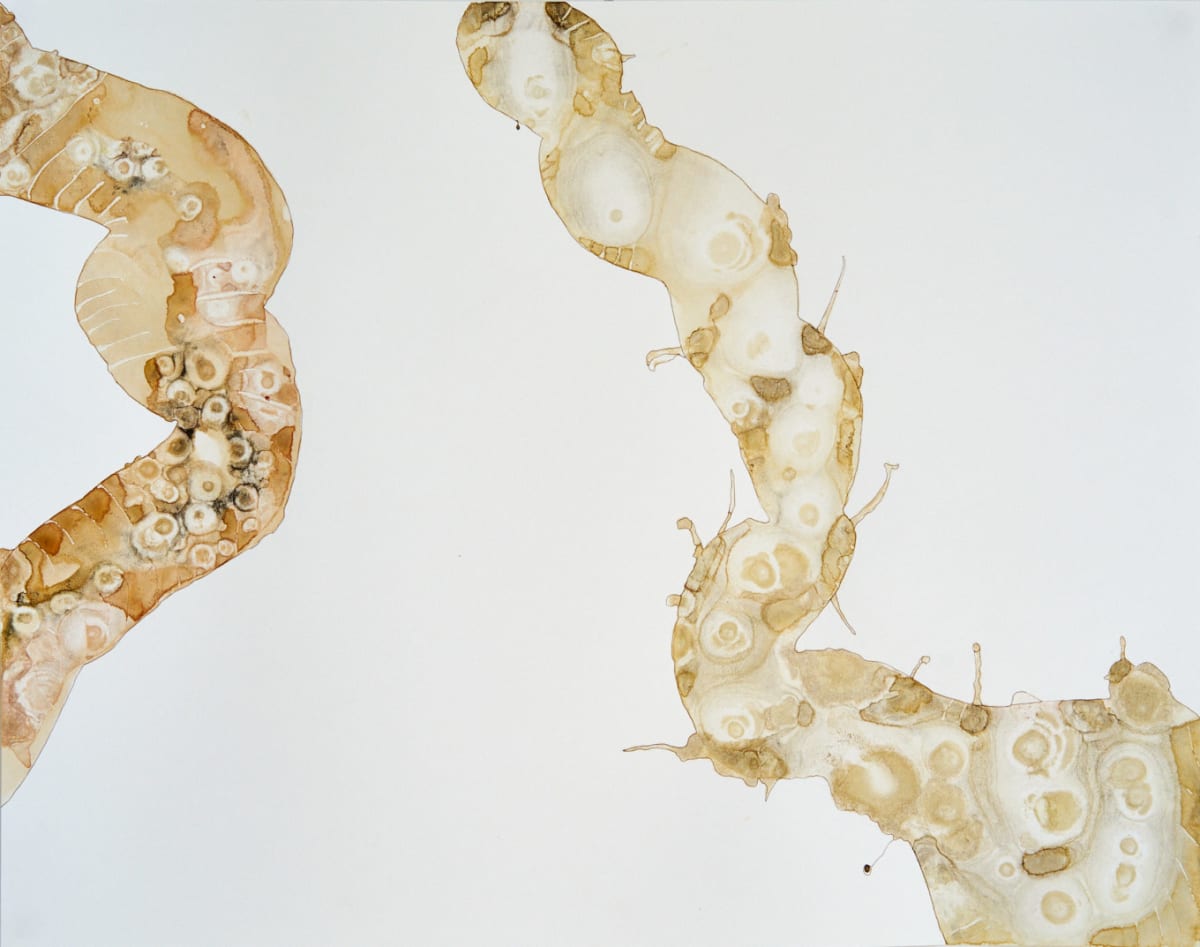 Insinuate by Deborah Benioff Friedman 