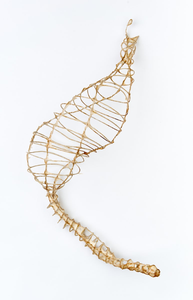 Winder by Deborah Benioff Friedman 