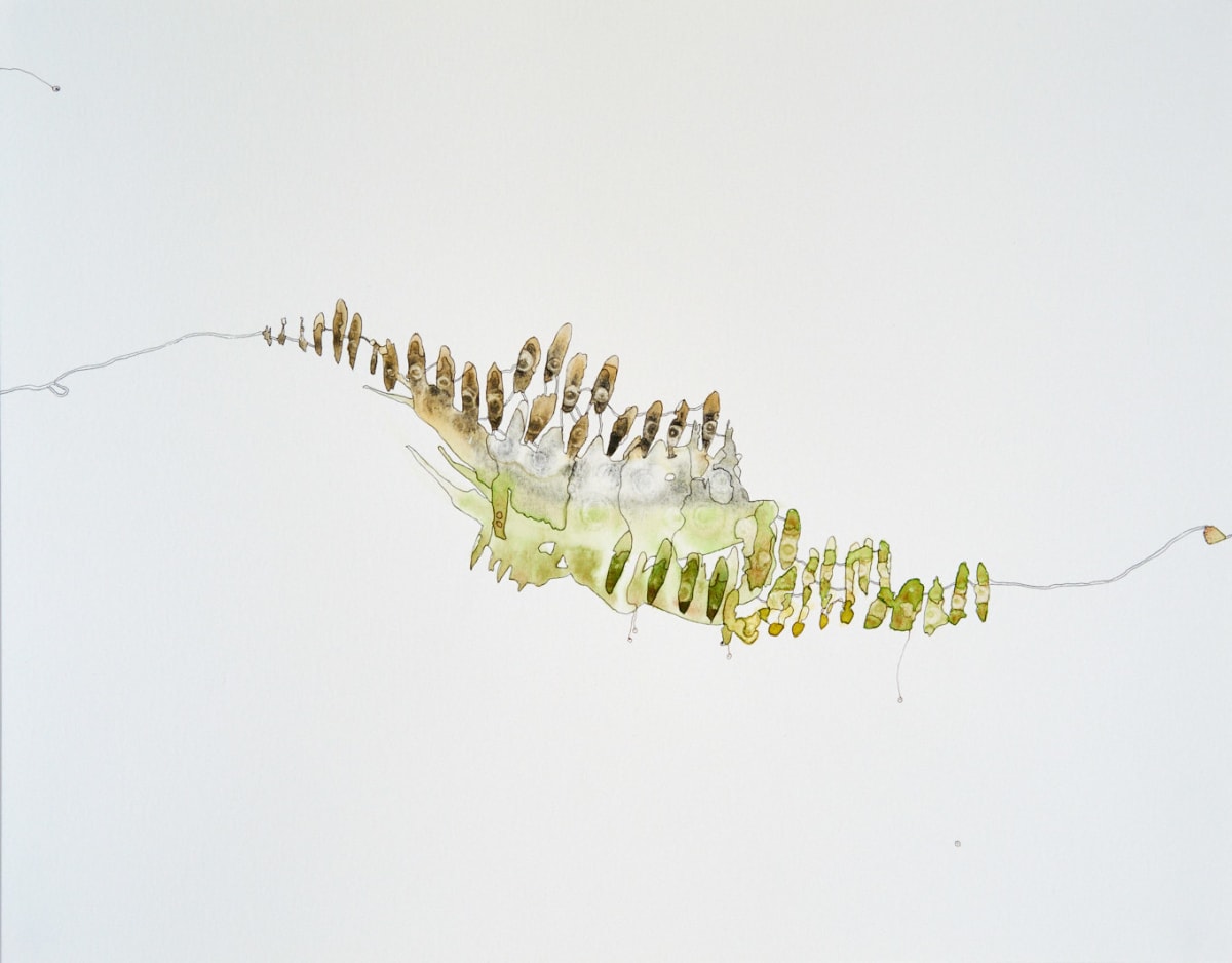 Near Ready by Deborah Benioff Friedman 
