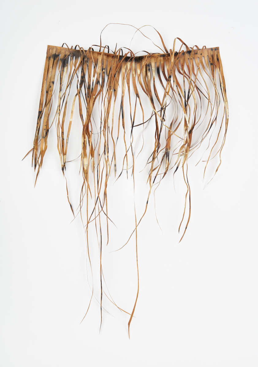 Cadence by Deborah Benioff Friedman 