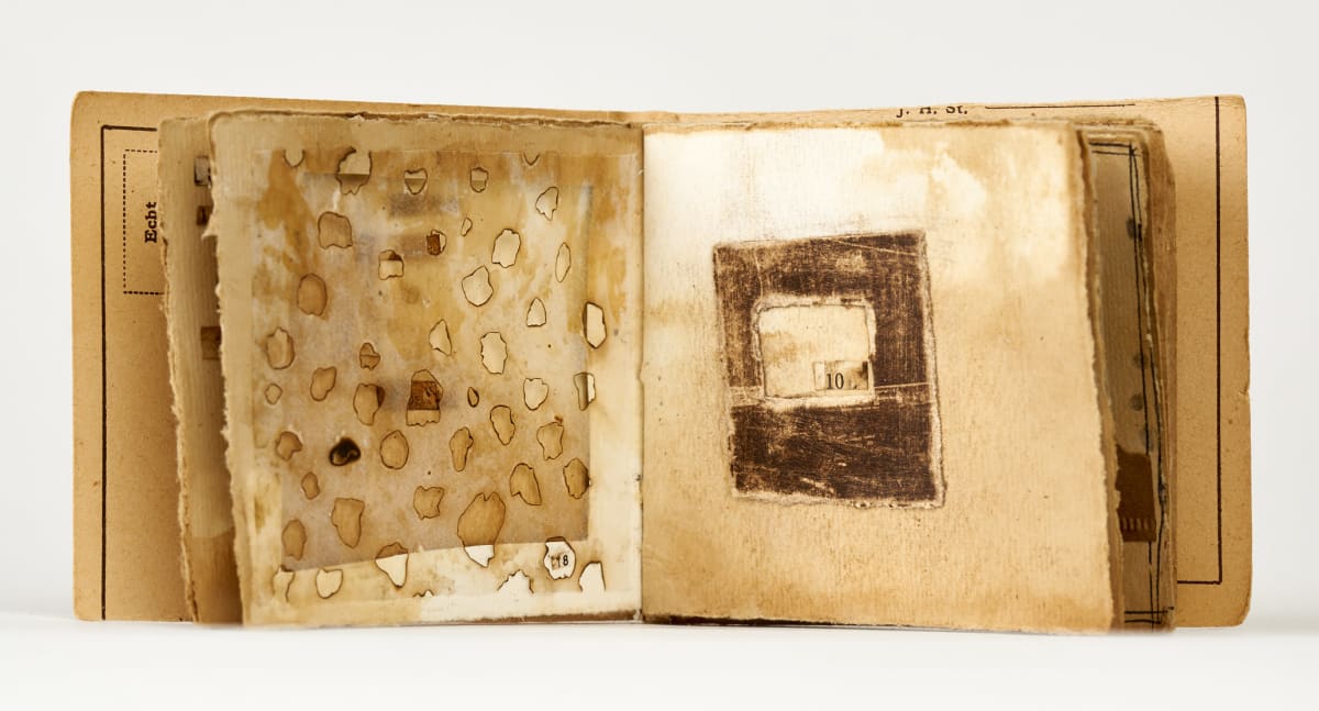 Sum of Everything by Deborah Benioff Friedman, Image 3.