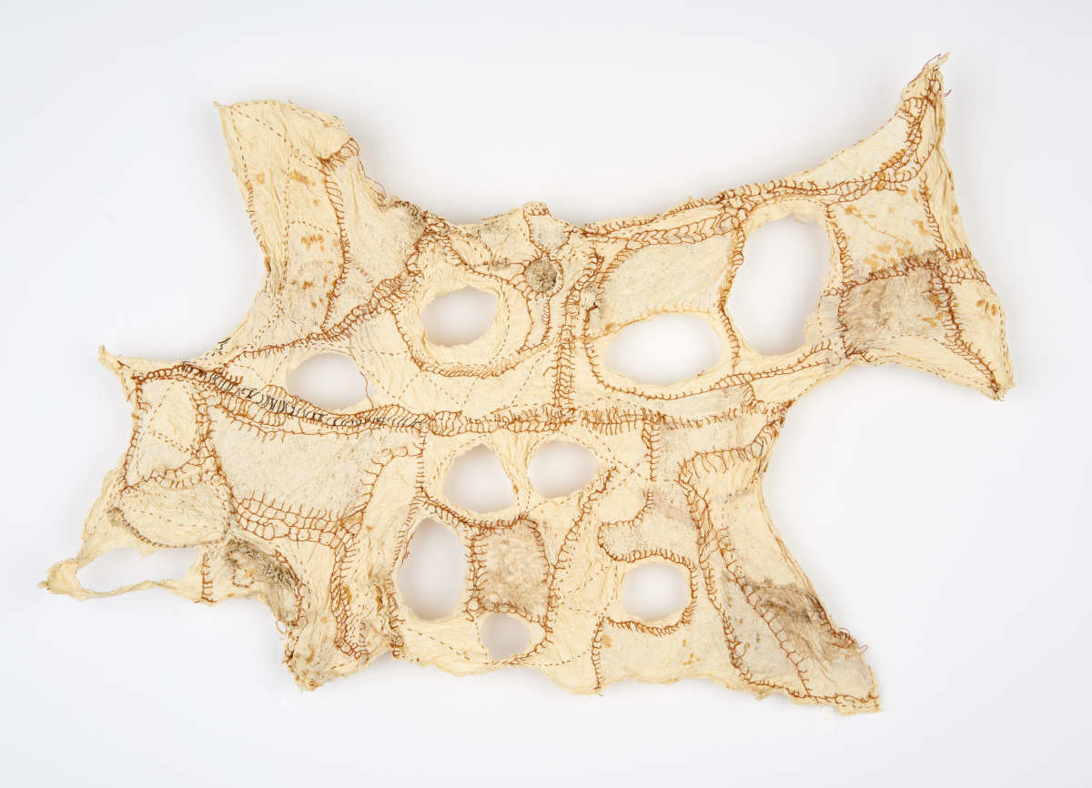 Vestige by Deborah Benioff Friedman 