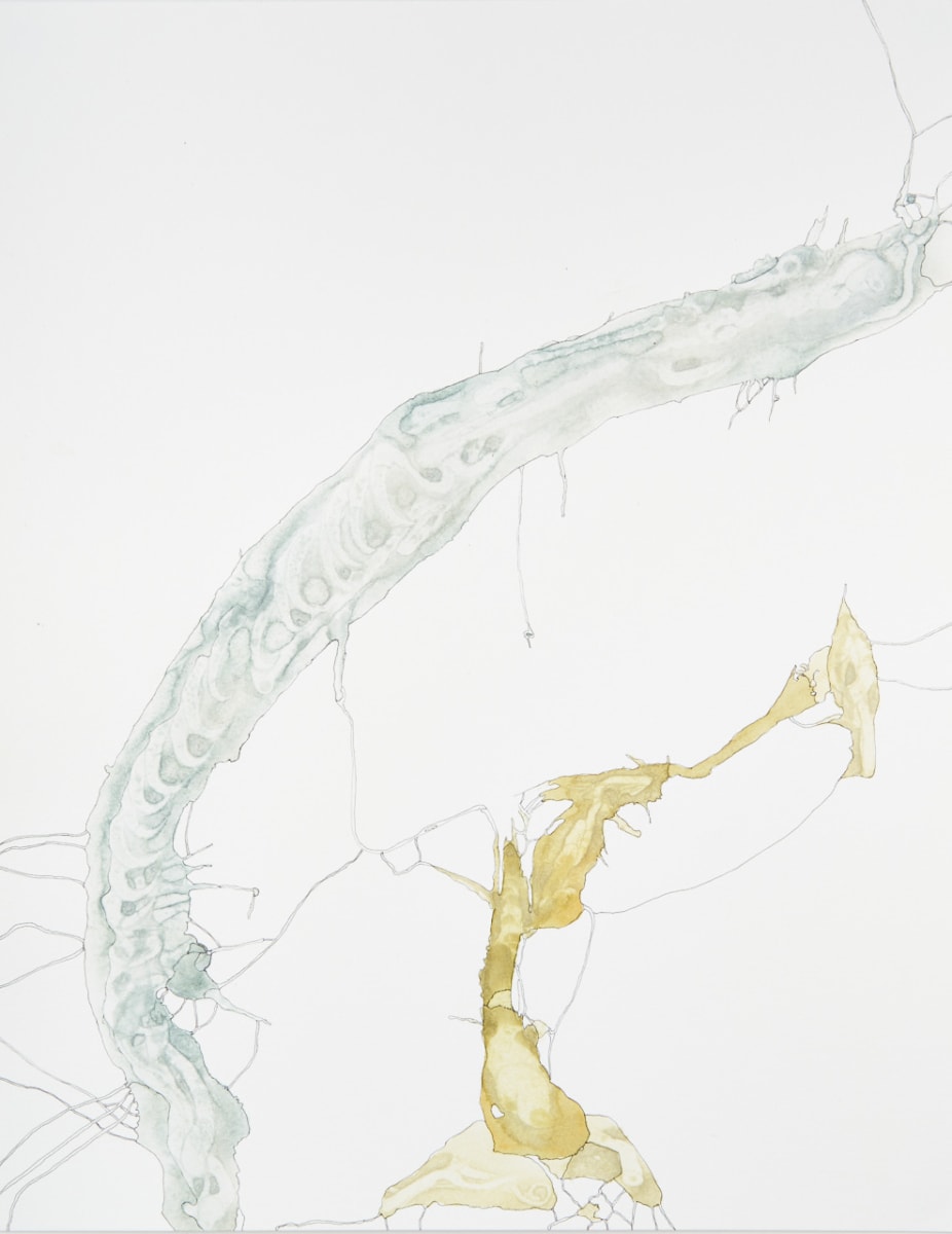 Illegible Fragments by Deborah Benioff Friedman 