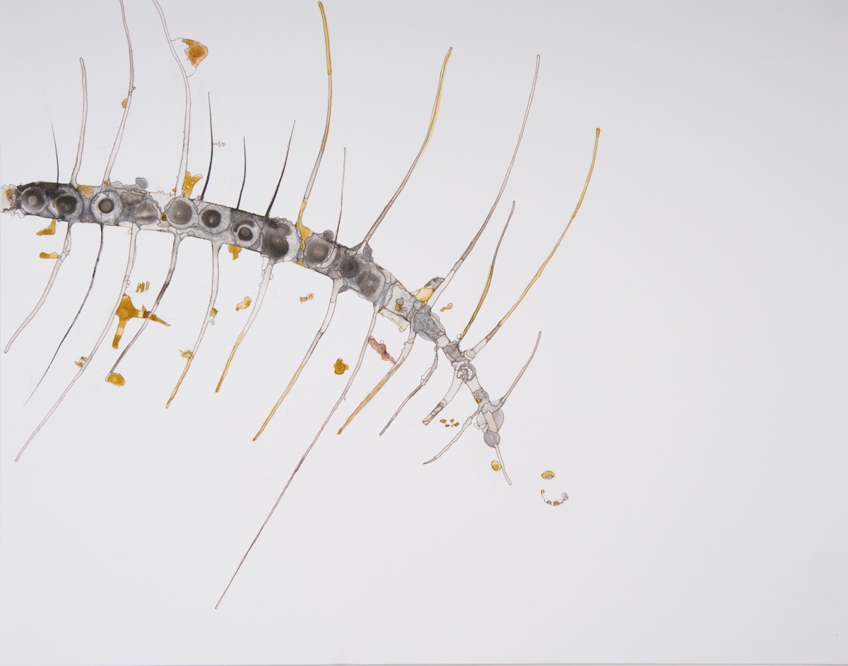 Something Underneath by Deborah Benioff Friedman, Image 1.