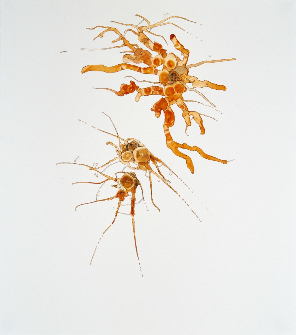 Gather and Burn by Deborah Benioff Friedman 