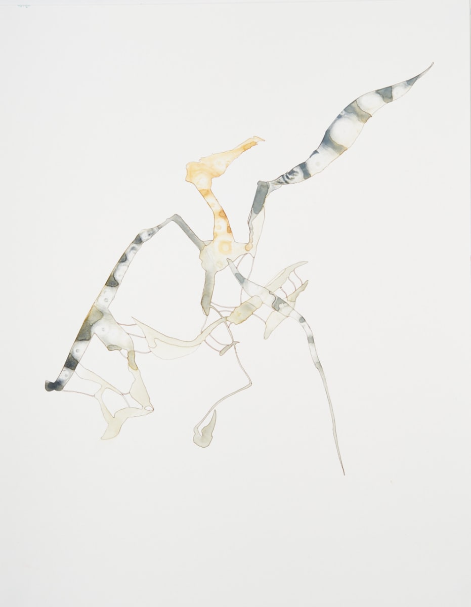 Unleashed by Deborah Benioff Friedman, Image 1.