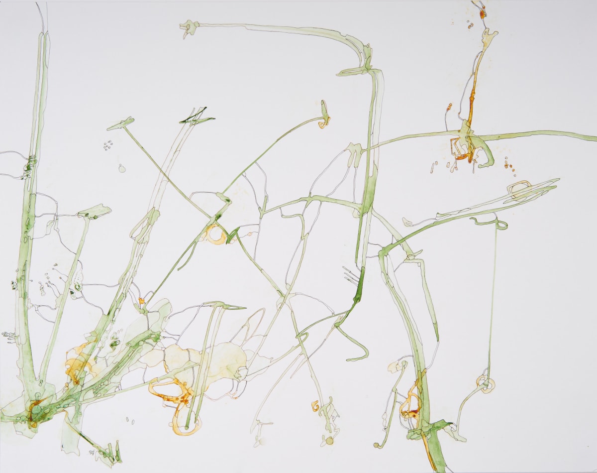 Go Lightly by Deborah Benioff Friedman 