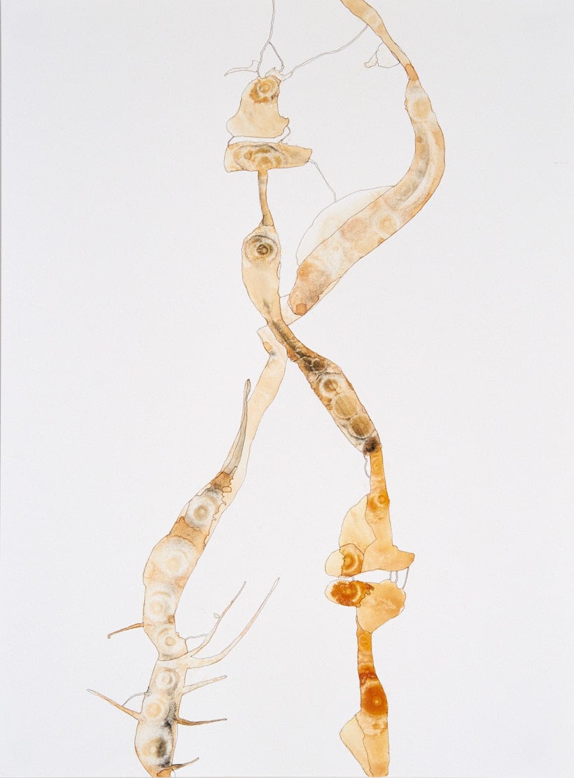 Becoming Something Else by Deborah Benioff Friedman, Image 1.