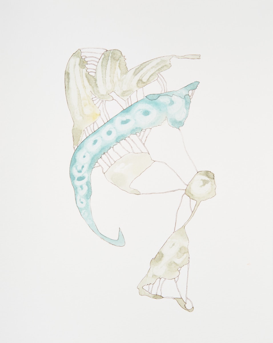 Beyond Rumor by Deborah Benioff Friedman 